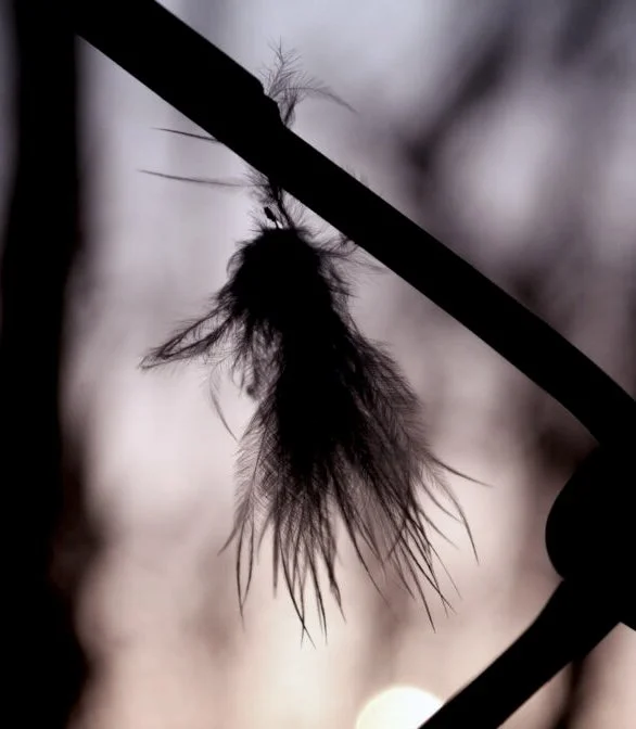 Atlas Fledgling — published in Hippocampus Magazine